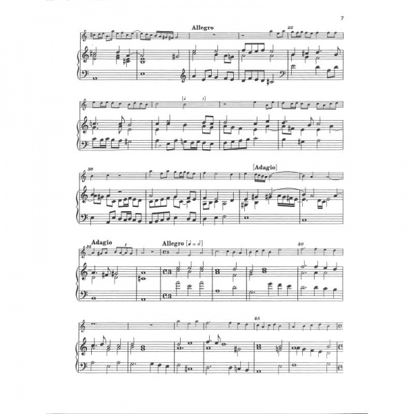 Benátská hudba konce 16. století - Sopran- oder Tenor-Blockflöte