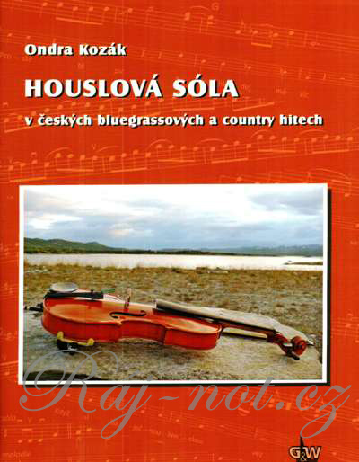 Houslová sóla v českých bluegrassových a country hitech + DVD