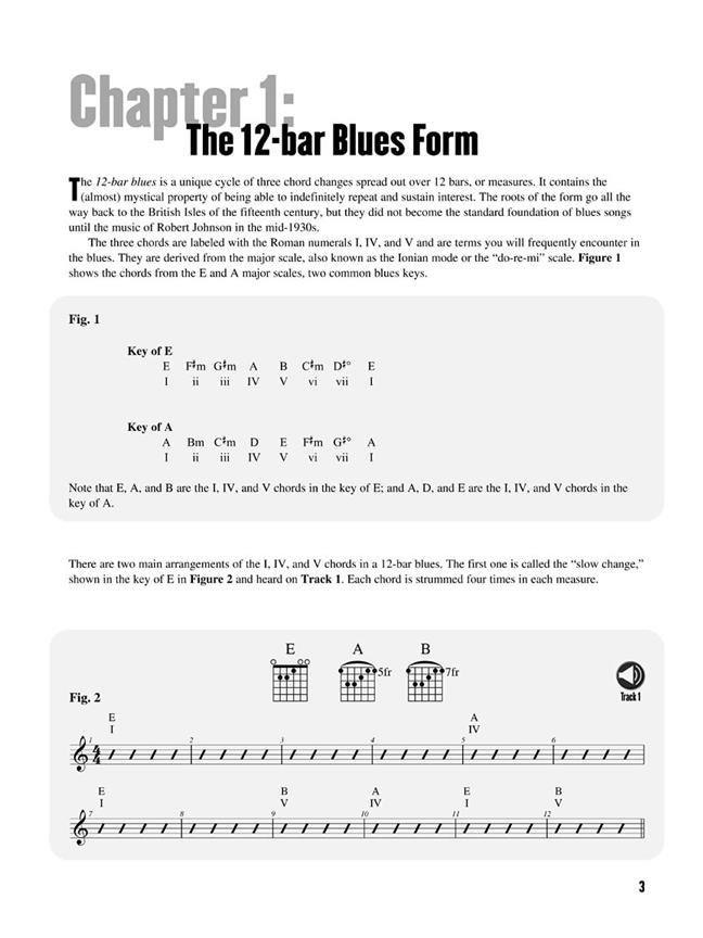 Beginning Blues Guitar - pro kytaru